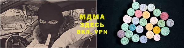 гашик Алексеевка