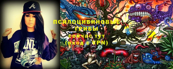 гашик Алексеевка