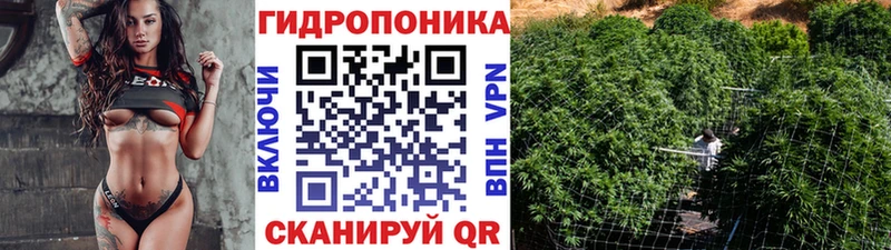 Бошки марихуана Amnesia  Заволжск 